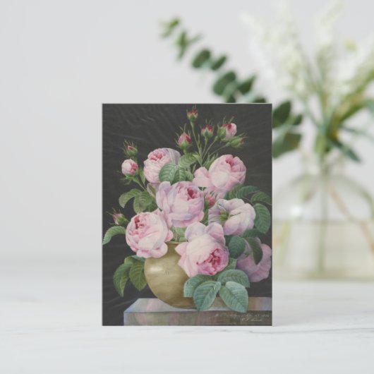 ピエールジョセフRedoute – 花瓶の中のピンクのバラ ポストカード (スタンド正面)