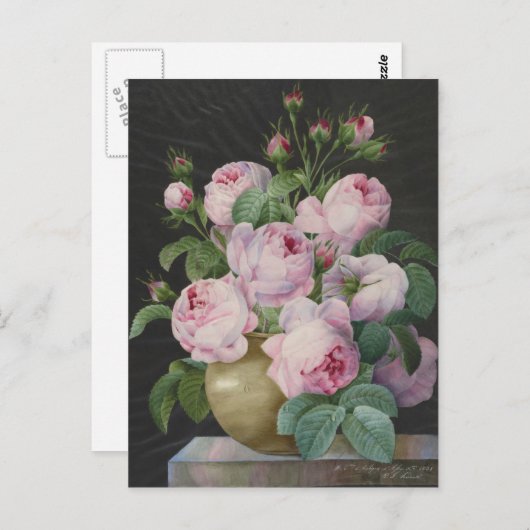 ピエールジョセフRedoute – 花瓶の中のピンクのバラ ポストカード (正面/裏面)
