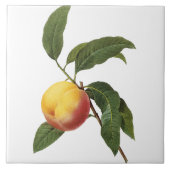 ピエールヨセフRedoutéのヴィンテージのモモの絵画のタイル タイル (正面)
