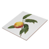 ピエールヨセフRedoutéのヴィンテージのモモの絵画のタイル タイル (側面)