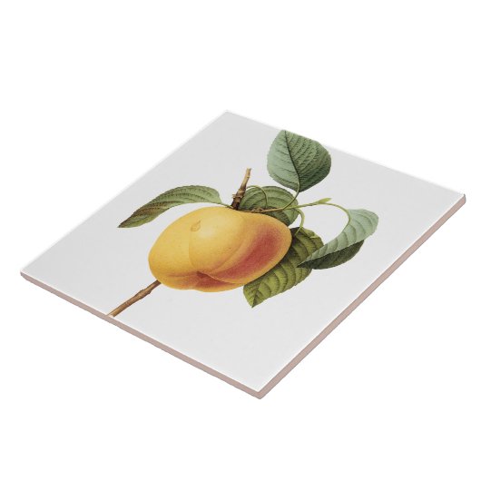 ピエールヨセフRedoutéのヴィンテージの大きいモモの絵画 タイル (側面)