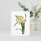 ピエールヨセフRedoute著ラッパスイセンかスイセン ポストカード (スタンド正面)