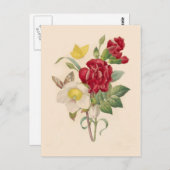 ピエール・ジョセフ・レッドテによるヘレボレスとカーネーション ポストカード (正面/裏面)