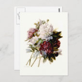 ピエール=ジョセフ・レッドテによる牡丹の花束 ポストカード (正面/裏面)