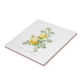 ピエール – ジョセフ・レドゥー「黄ばん色のバラ」セラミックタイル タイル (側面)