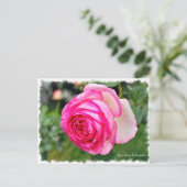 ピエール・ドゥ・ロンサール ポストカード (スタンド正面)