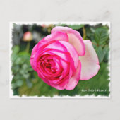 ピエール・ドゥ・ロンサール ポストカード (正面)