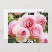 ピエール・ドゥ・ロンサール ポストカード (正面/裏面)