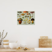 ピオソナス菌 – キノコとトアダプトール ポスター (キッチン)