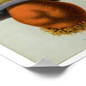 ピオソナス菌 – キノコとトアダプトール ポスター (角)