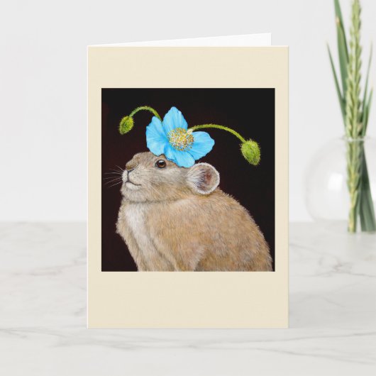 ピカカードのトマコ カード (正面)