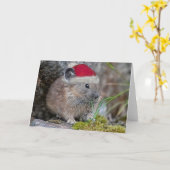 ピカクリスマスカード カード (黄色い花)