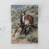 ピカソがワイルドホースのグリーティングカードを叩く カード (内部)