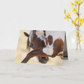 ピカソがワイルドホースのグリーティングカードを叩く カード (黄色い花)