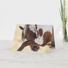 ピカソがワイルドホースのグリーティングカードを叩く カード