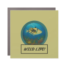 ピカソのトリガーフィッシュダークカキ車/トラックマグネット