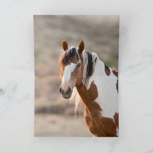 ピカソは野生の馬のグリーティングカードを持ち上げる カード (内部)