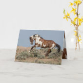 ピカソは野生の馬のグリーティングカードを持ち上げる カード (黄色い花)