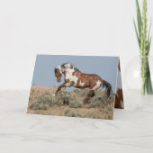 ピカソは野生の馬のグリーティングカードを持ち上げる カード (正面)