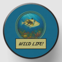 ピカソトリガーフィッシュ海ブルーミニキャンドルの好意