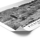 ピカチョピーク州パークキープサケアリゾナ ポスター (角)