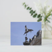 ピカディリーエンジェル ポストカード (スタンド正面)