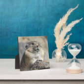 ピカデスクトッププラーク フォトプラーク (インサイチュ)