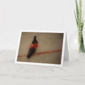 ピカラフルジョンアットサンミゲル修道院 カード (正面)