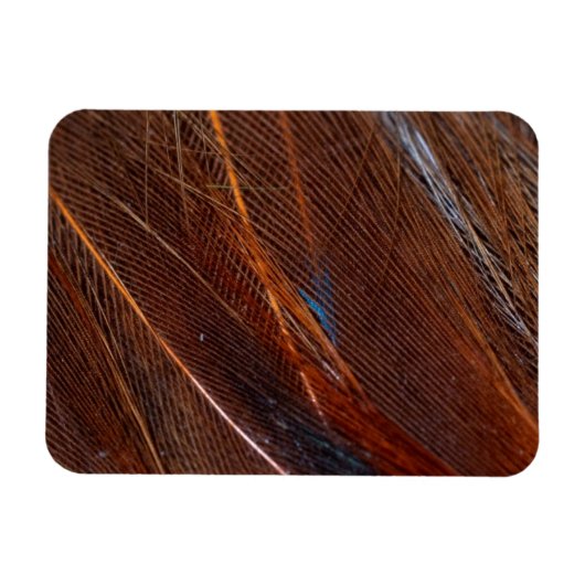 ピカラフルーコックフェザーイン詳細 マグネット (横)