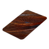 ピカラフルーコックフェザーイン詳細 マグネット (左側)