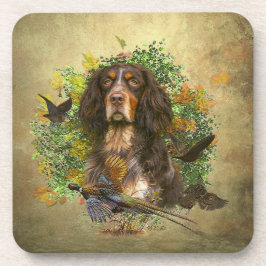 ピカルディスパニエル犬,狩りシーズン コースター