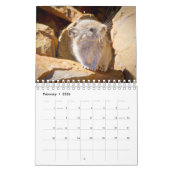 ピカ カレンダー (2月 2026)