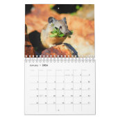 ピカ カレンダー (1月 2026)