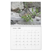 ピカ カレンダー (1月 2026)