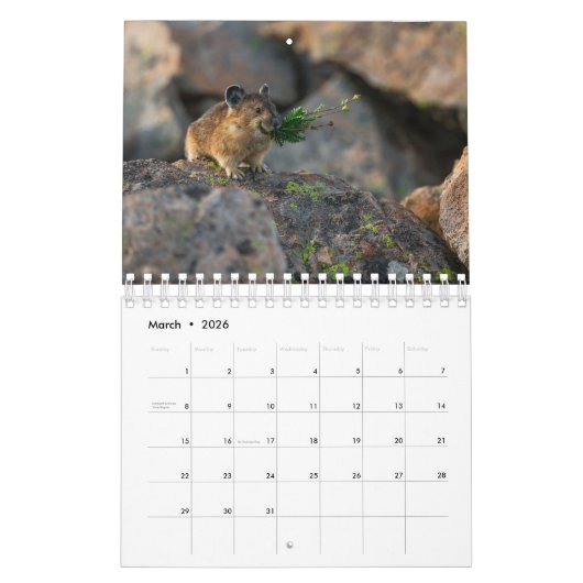 ピカ カレンダー (3月 2026)