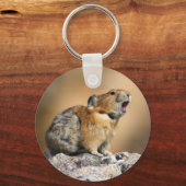 ピカ キーホルダー (正面)