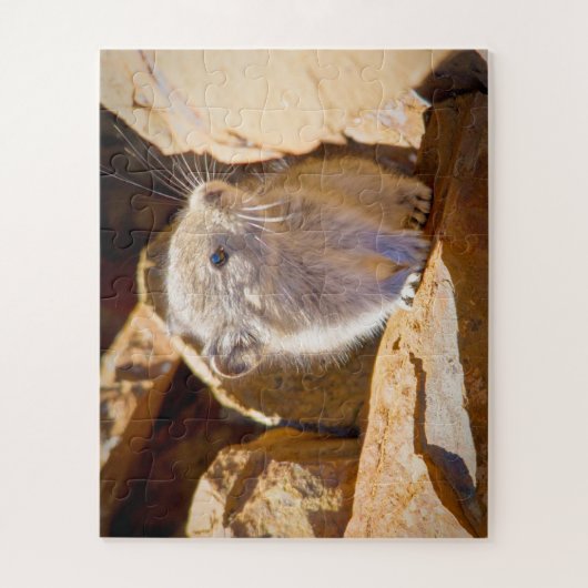 ピカ ジグソーパズル (縦)