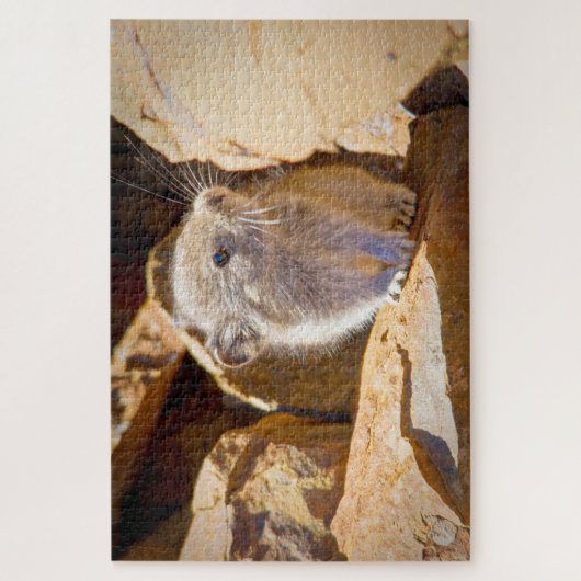 ピカ ジグソーパズル (縦)