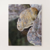 ピカ ジグソーパズル (縦)