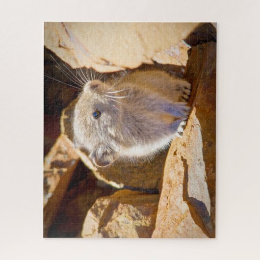 ピカ ジグソーパズル (縦)