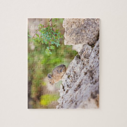 ピカ ジグソーパズル (縦)