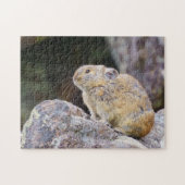 ピカ ジグソーパズル (横)