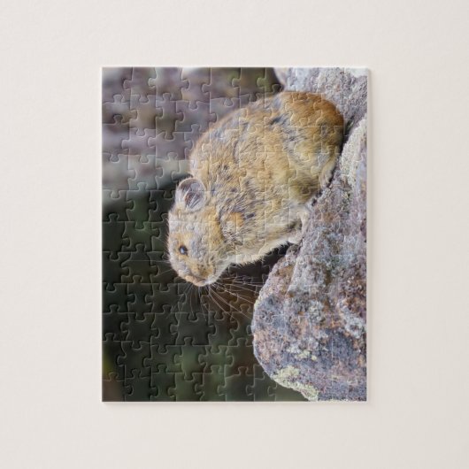 ピカ ジグソーパズル (縦)