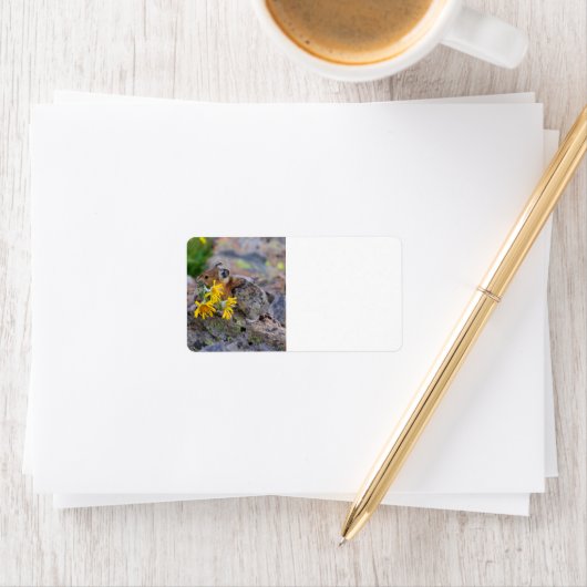 ピカ ラベル (インサイチュ)