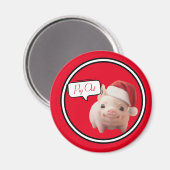 ピギンアウトホリデーマグネット マグネット (正面/裏面)