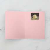 ピギーカード カード (内部)