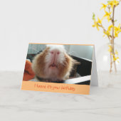 ピギーキスとカーリーウィスカーのバースデーカード カード (黄色い花)