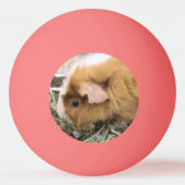 ピギーゴルフハットクリップ 卓球ボール (裏面)