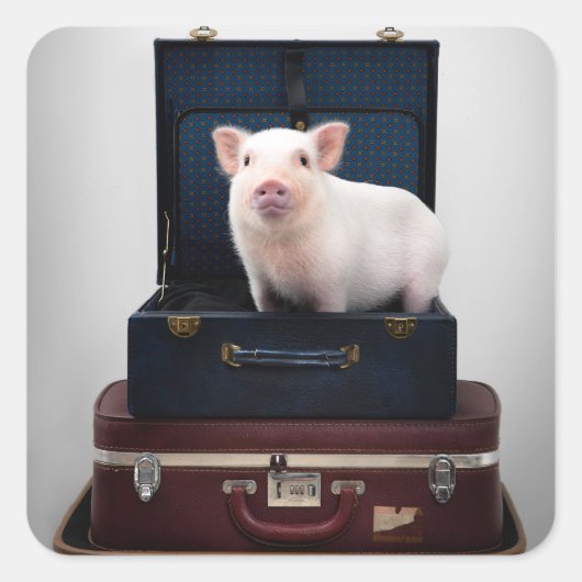 ピギーステッカーを詰める スクエアシール (正面)