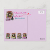 ピギーニおもしろいブタ動物作曲家パガニーニ ポストカード (裏面)